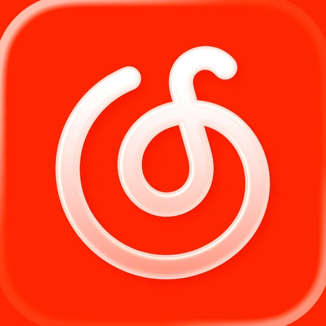NetEase Music - Vinyl VIP Monthly
